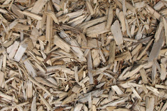 biomass boilers Forge Hammer